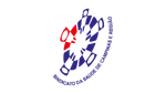 SindSaude_logo